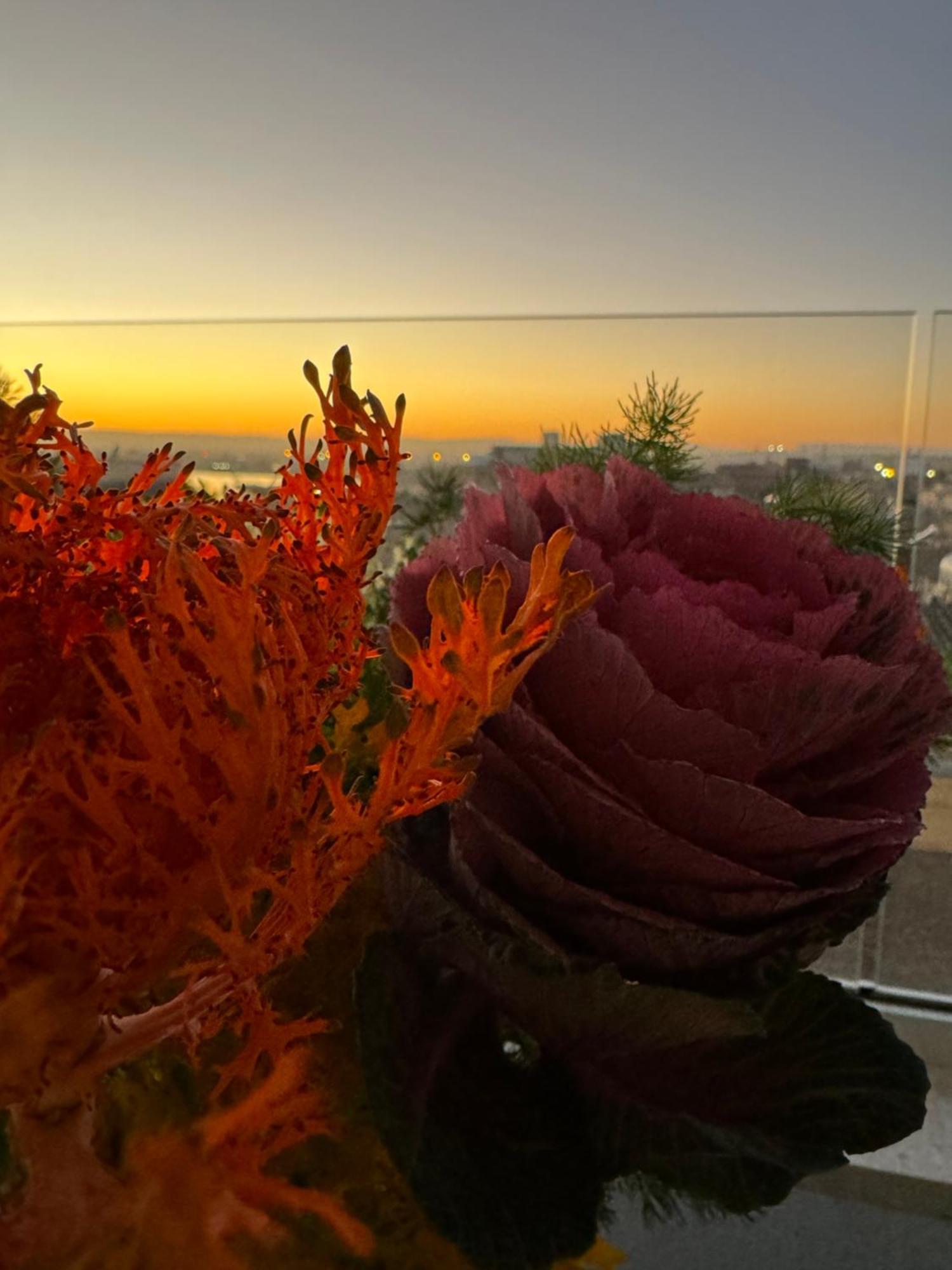 Bed and Breakfast La Terrazza Sul Porto Сиракузы Экстерьер фото