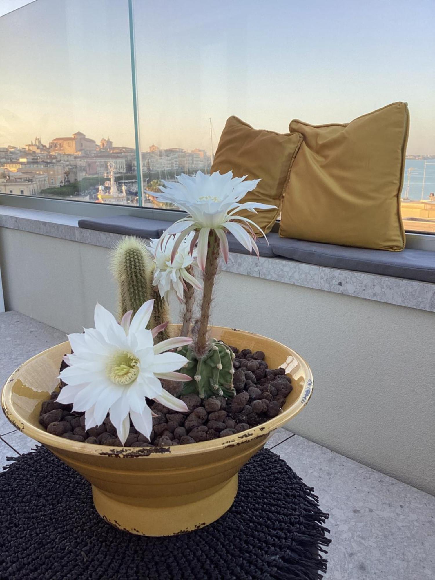 Bed and Breakfast La Terrazza Sul Porto Сиракузы Экстерьер фото